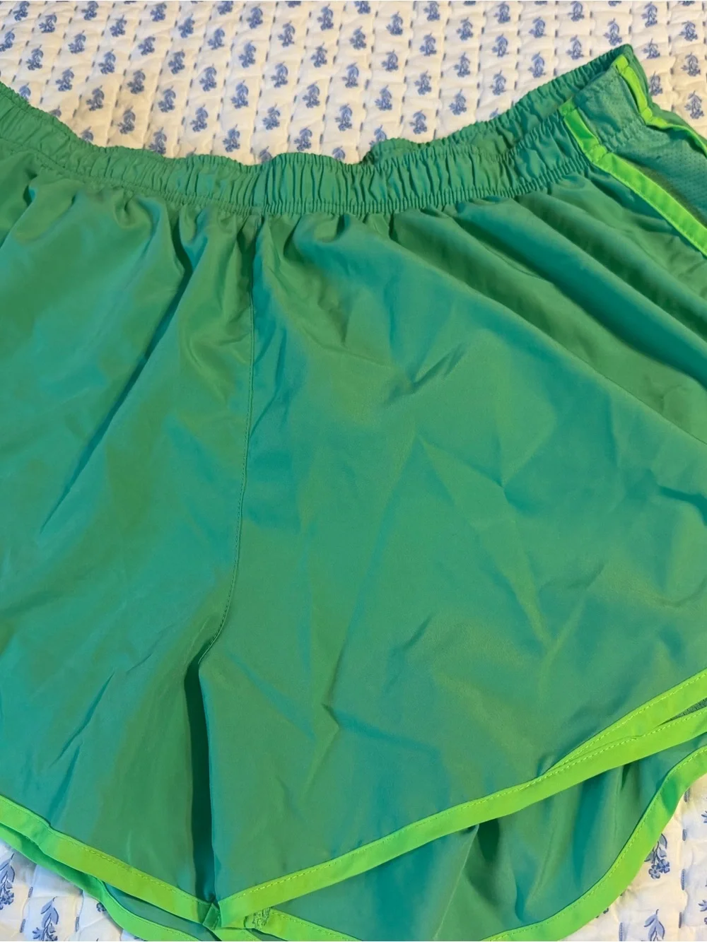 Nike Women's Plus Size Shorts Bundle Size 2X